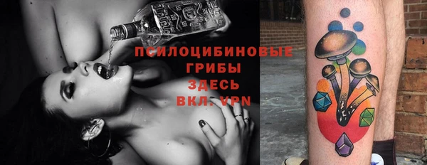 альфа пвп Надым