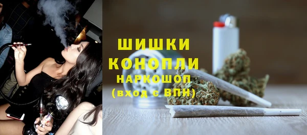 молекула духа Навашино