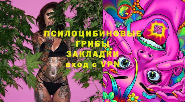 молекула духа Навашино