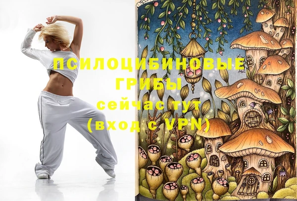 молекула духа Навашино