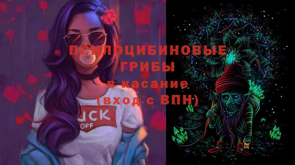 молекула духа Навашино