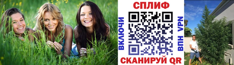 как найти закладки  Почеп  Бошки Шишки Ganja 